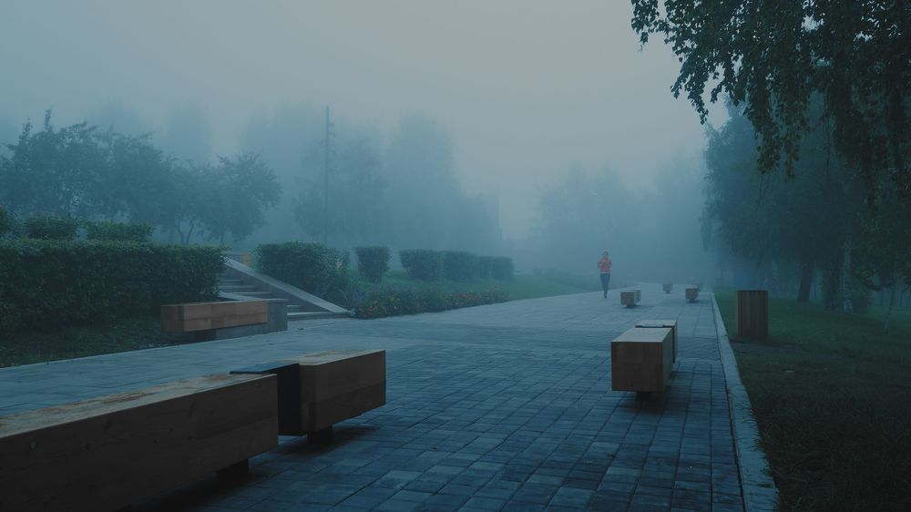 Foggy Hills series