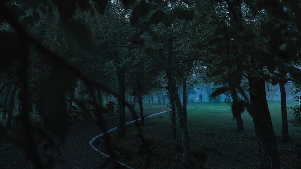 Foggy Hills series