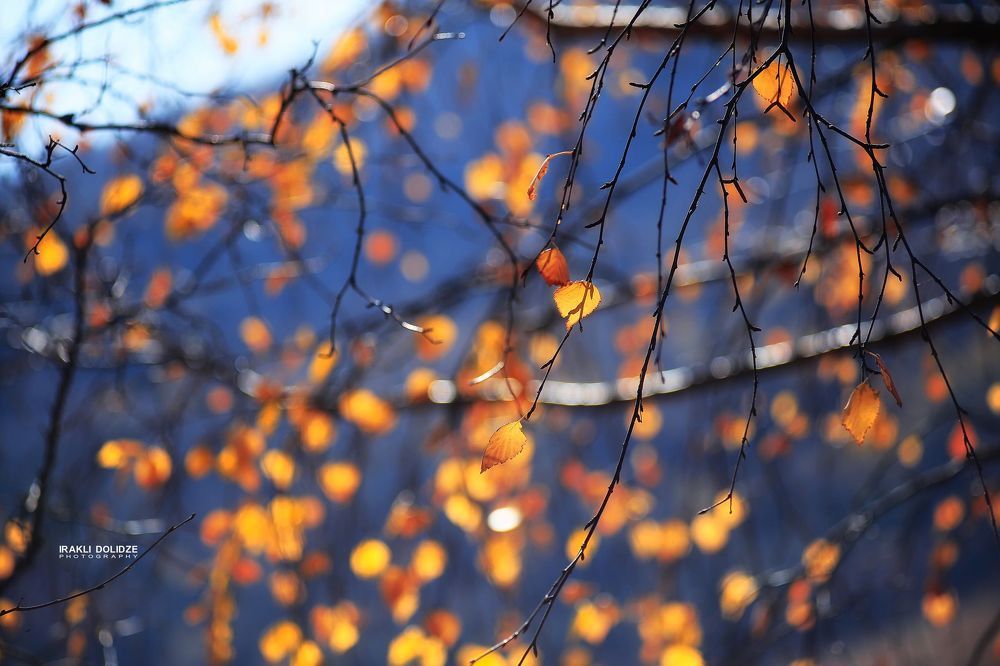The best of October