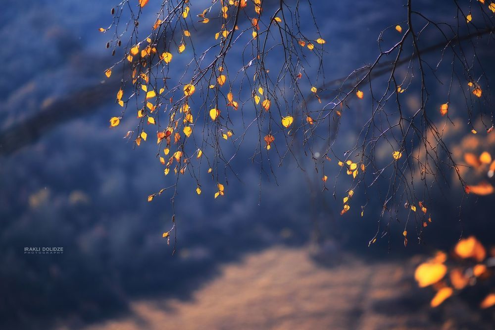 The best of October