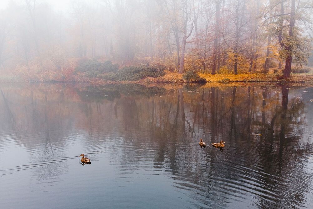 Осень в парке
