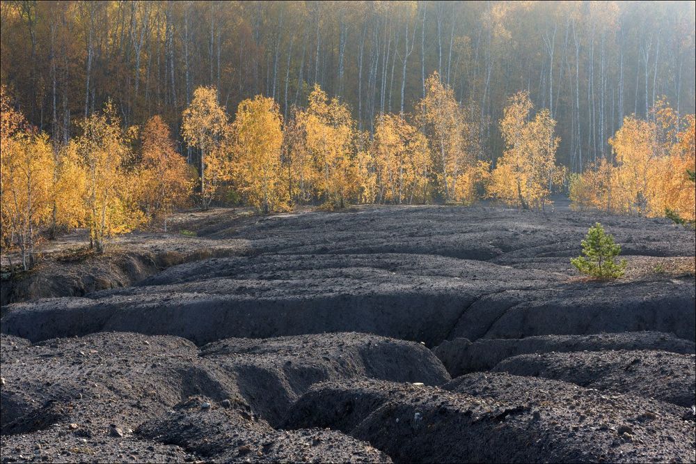Солнечное утро октября