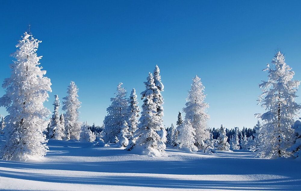 Beauty of nature