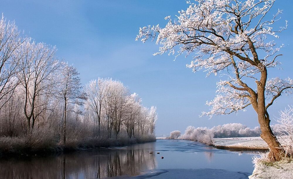 Beauty of nature