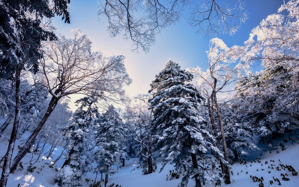 Beauty of nature
