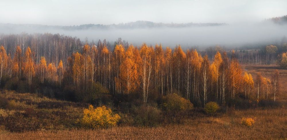 Изборская осень
