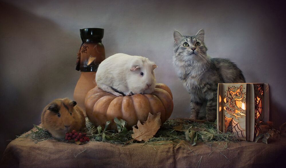 Happy Нalloween!