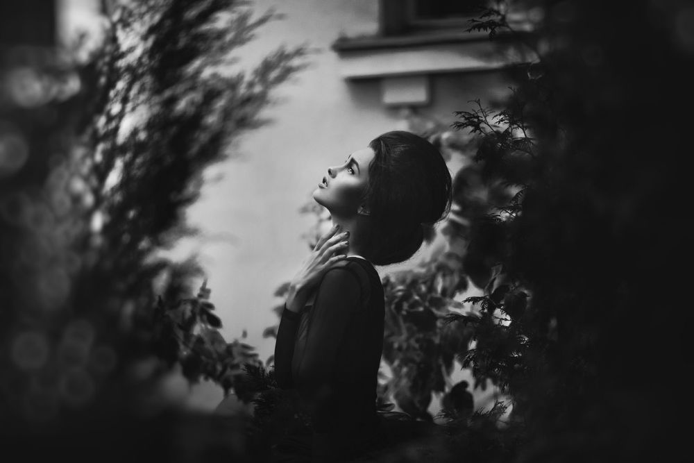 Photo 1566019