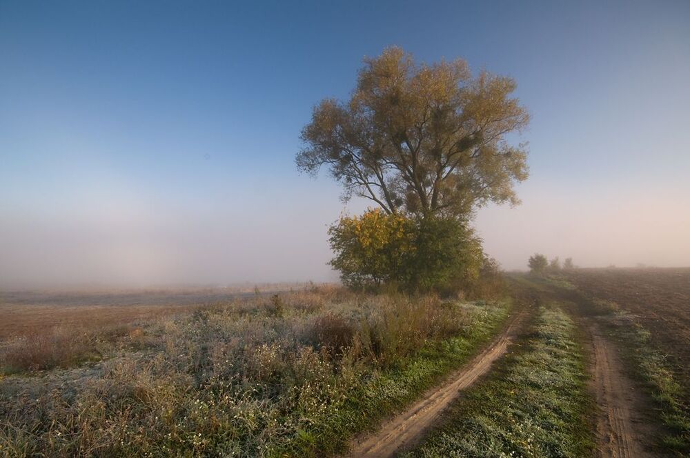 october morning...