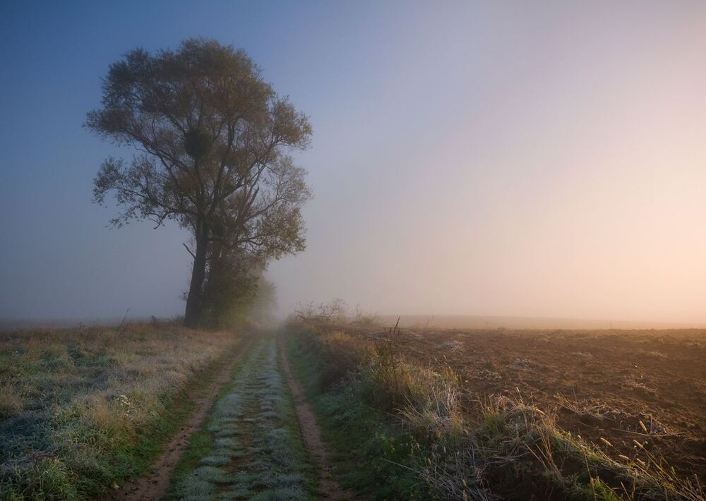 october morning...