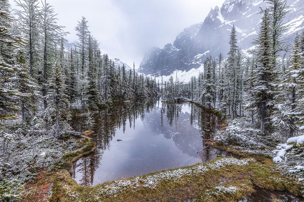 Lake O'Hara. Snow.