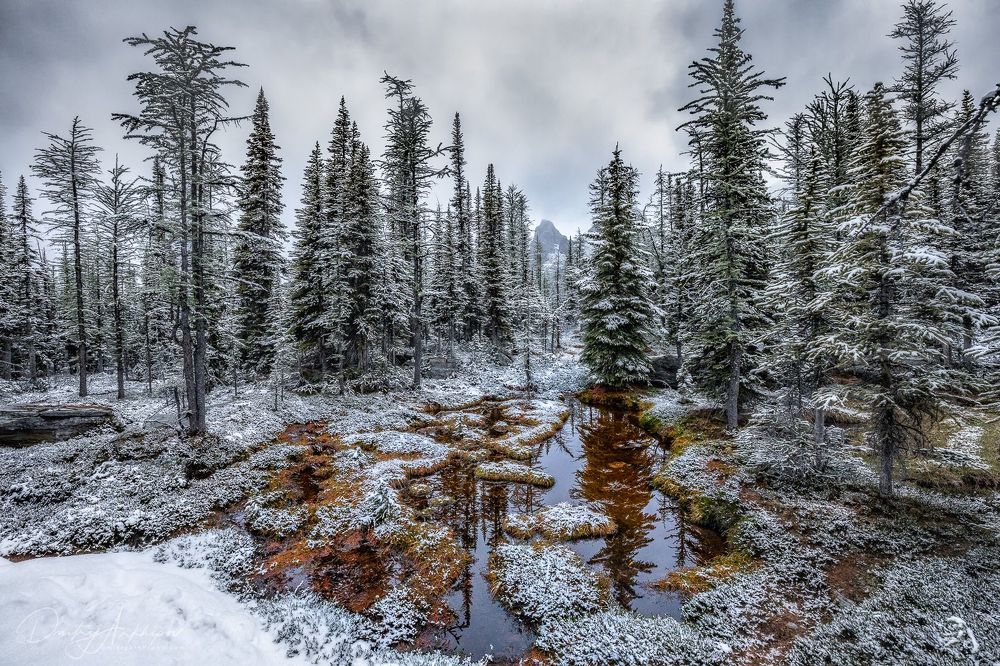 Lake O'Hara. Snow.