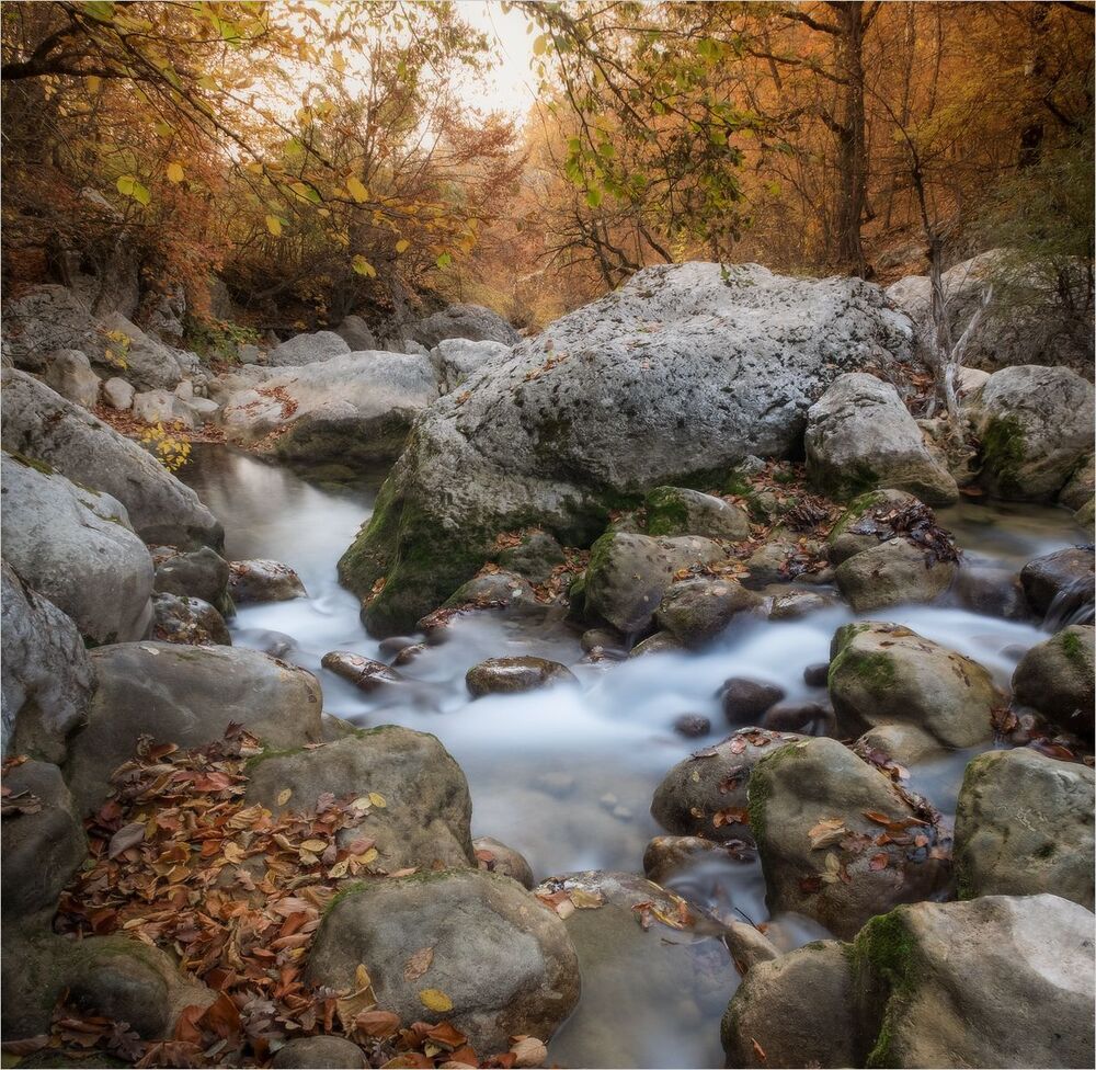 Photo 1567475
