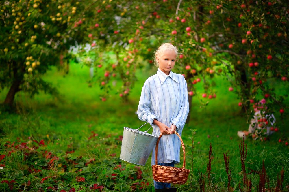 В саду созрели яблоки.