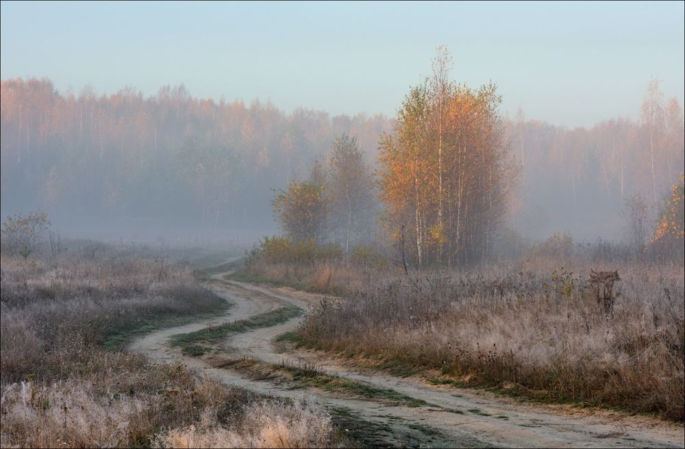 Вот и солнышко