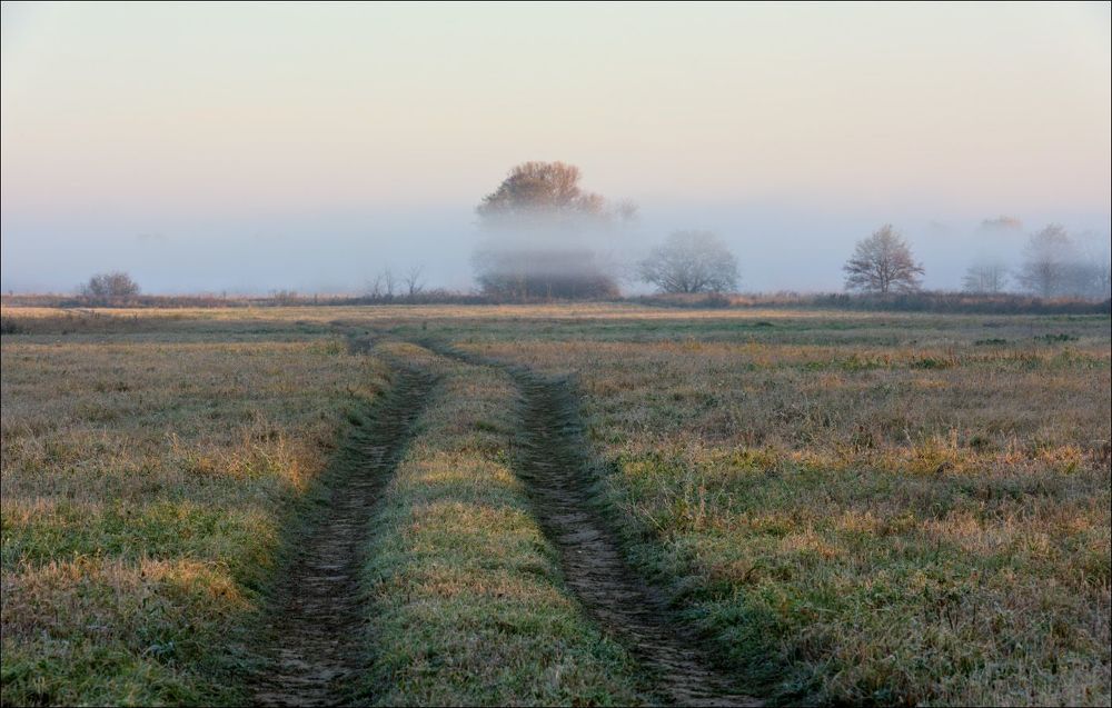 Дорога к реке