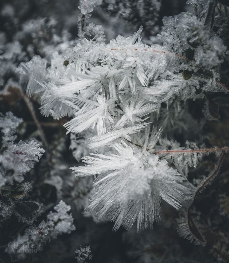 Winter magic in macro world