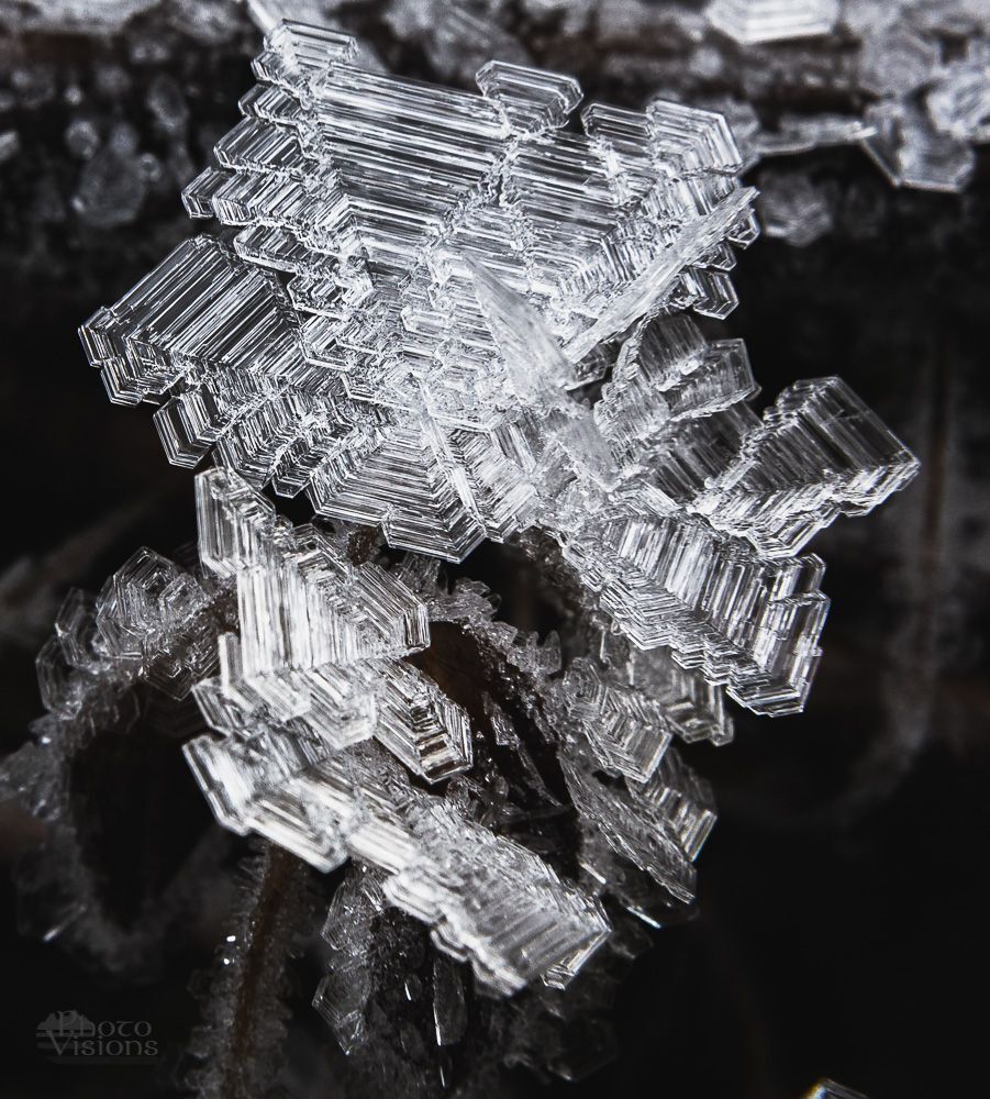 Winter magic in macro world