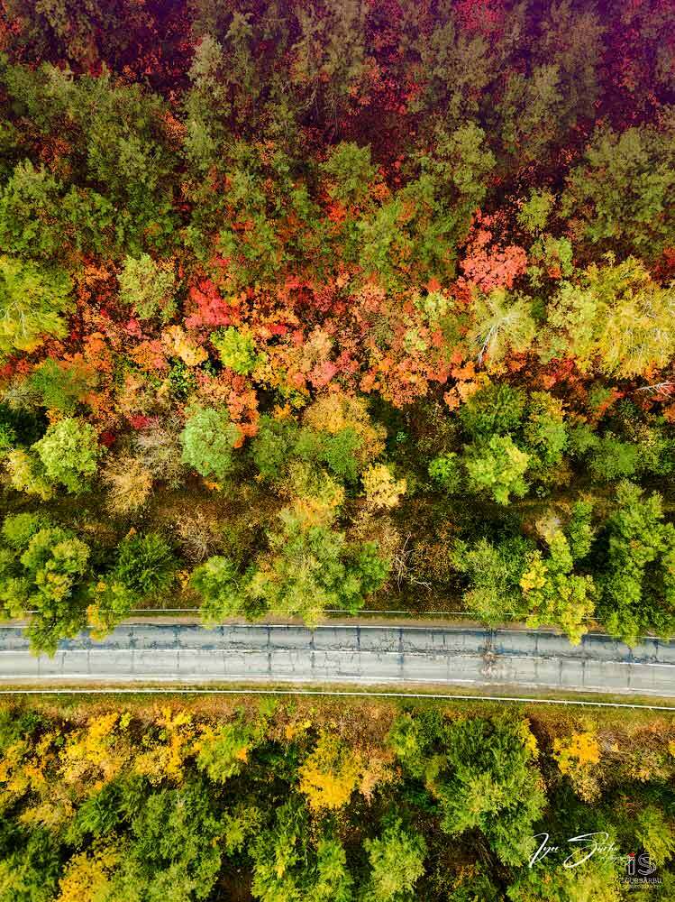 Autumn