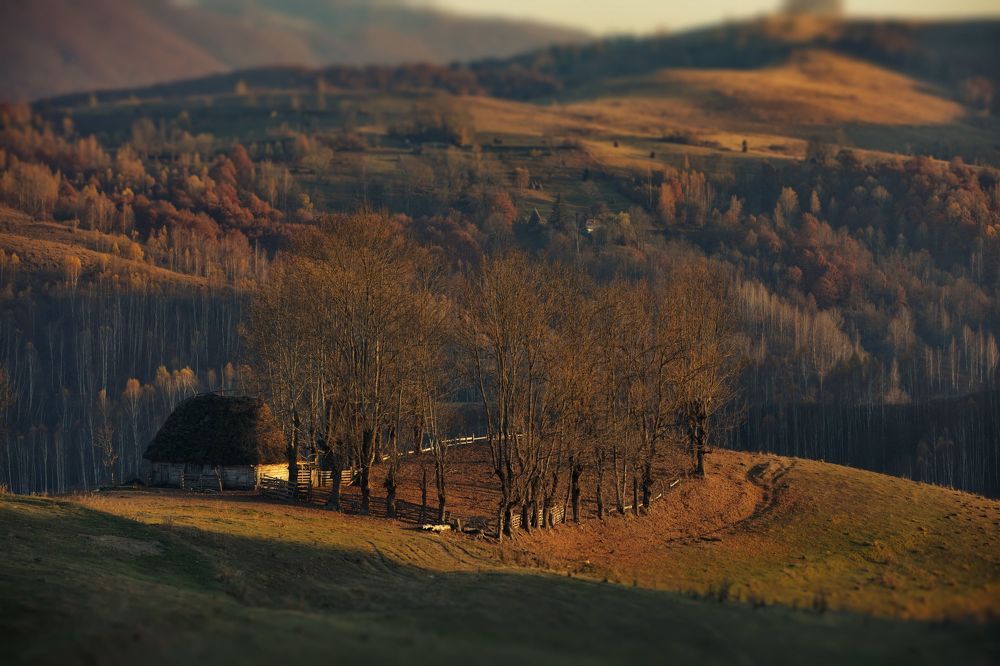 Румынская тема