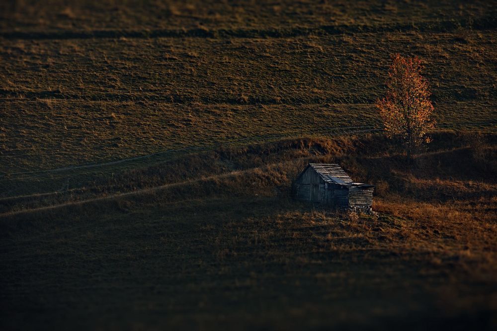 Румынская тема