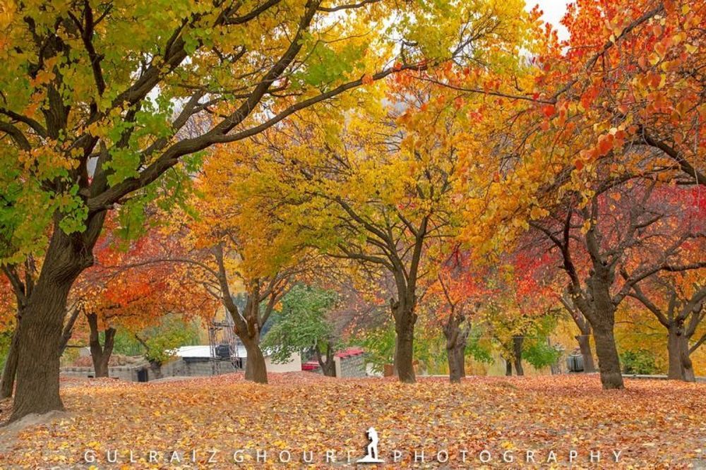 Autumn Season of Skardu