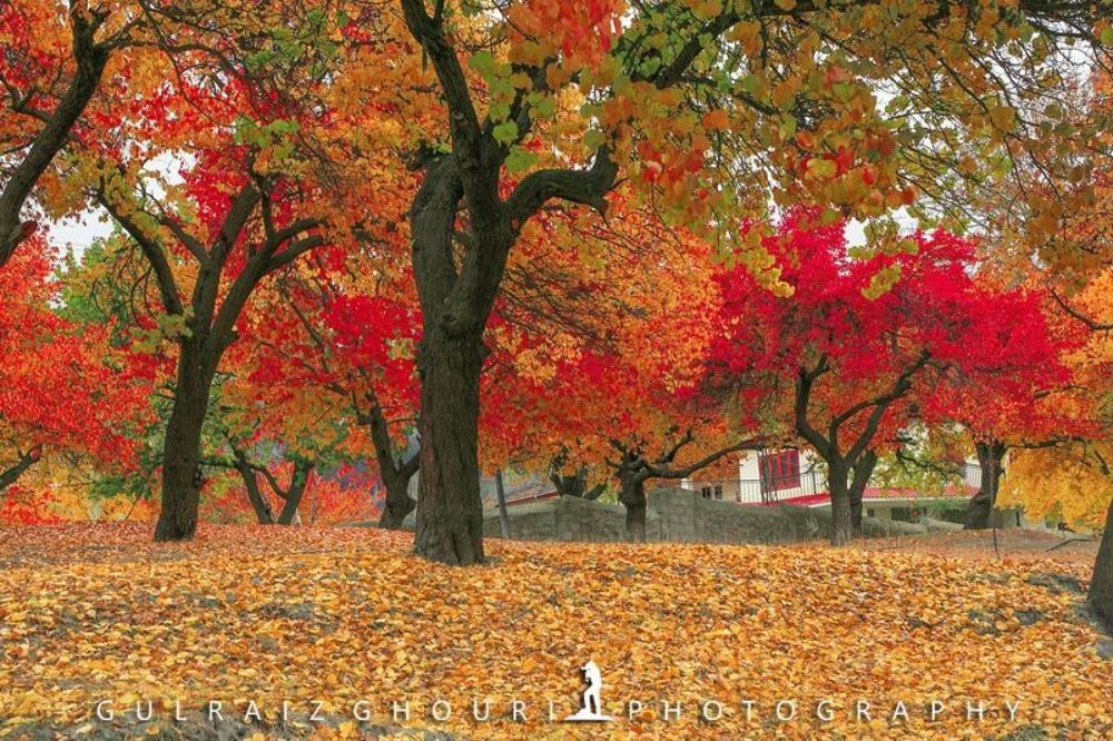Autumn Season of Skardu