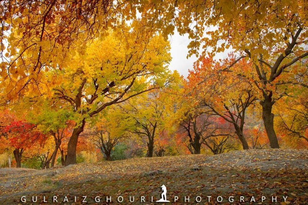 Autumn Season of Skardu