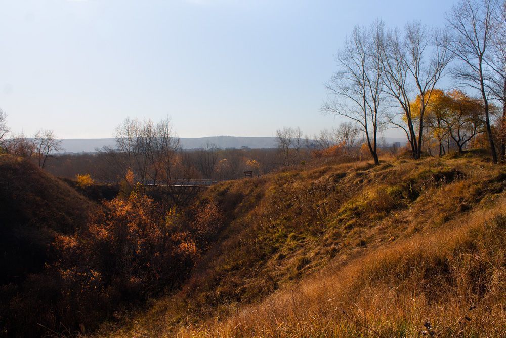 Осенние краски