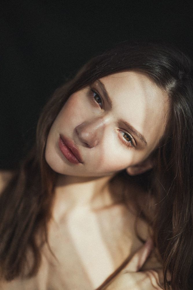Vlada
