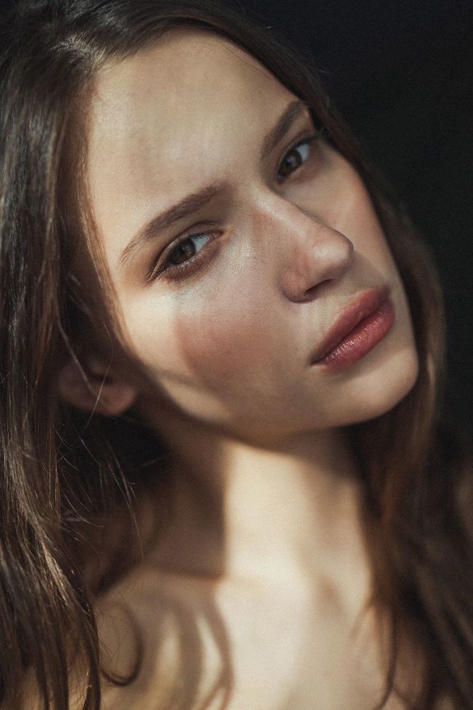 Vlada