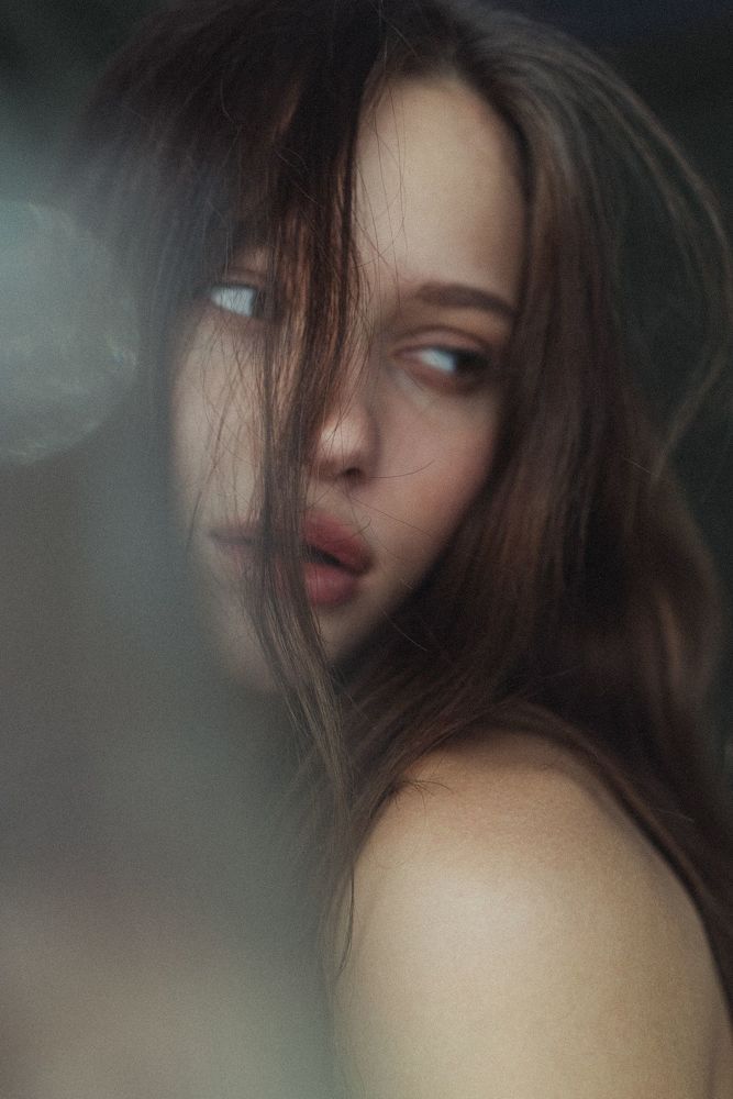 Vlada
