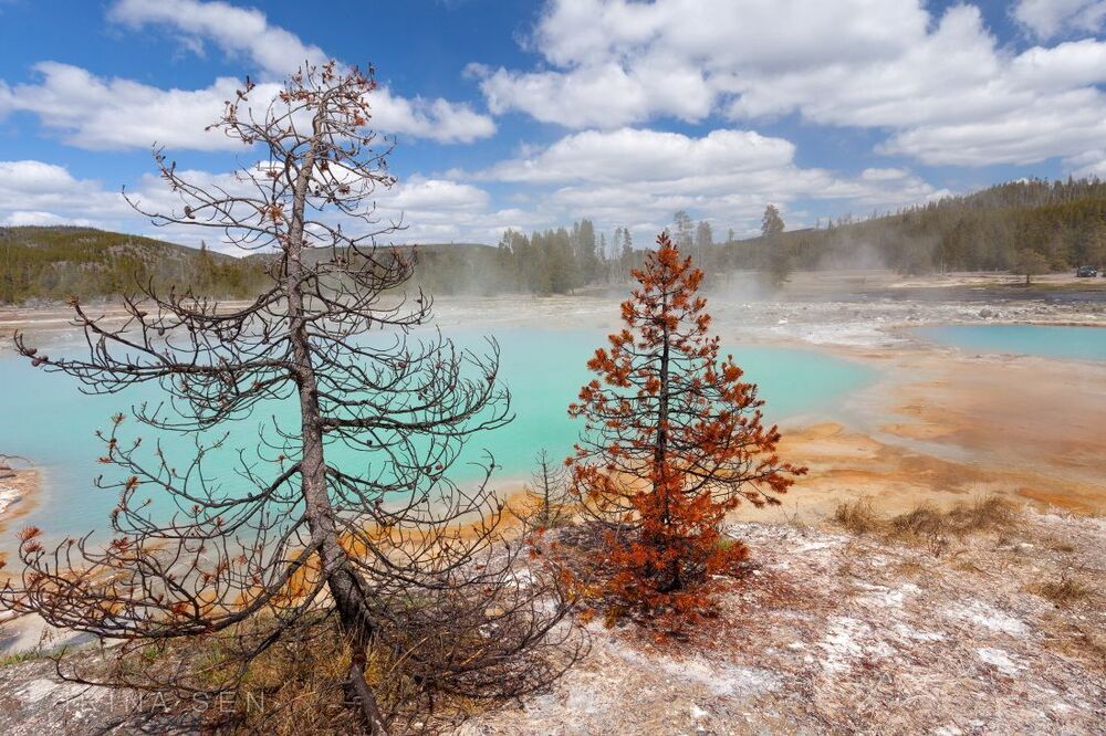 Yellowstone National Park, USA