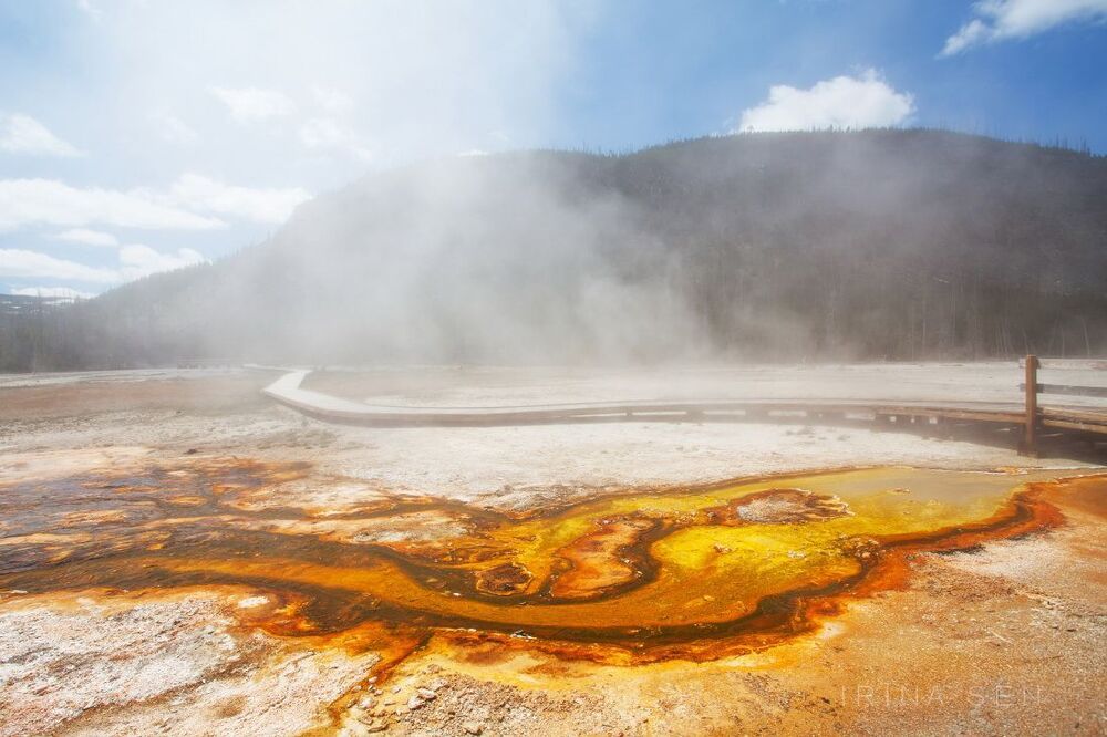 Yellowstone National Park, USA