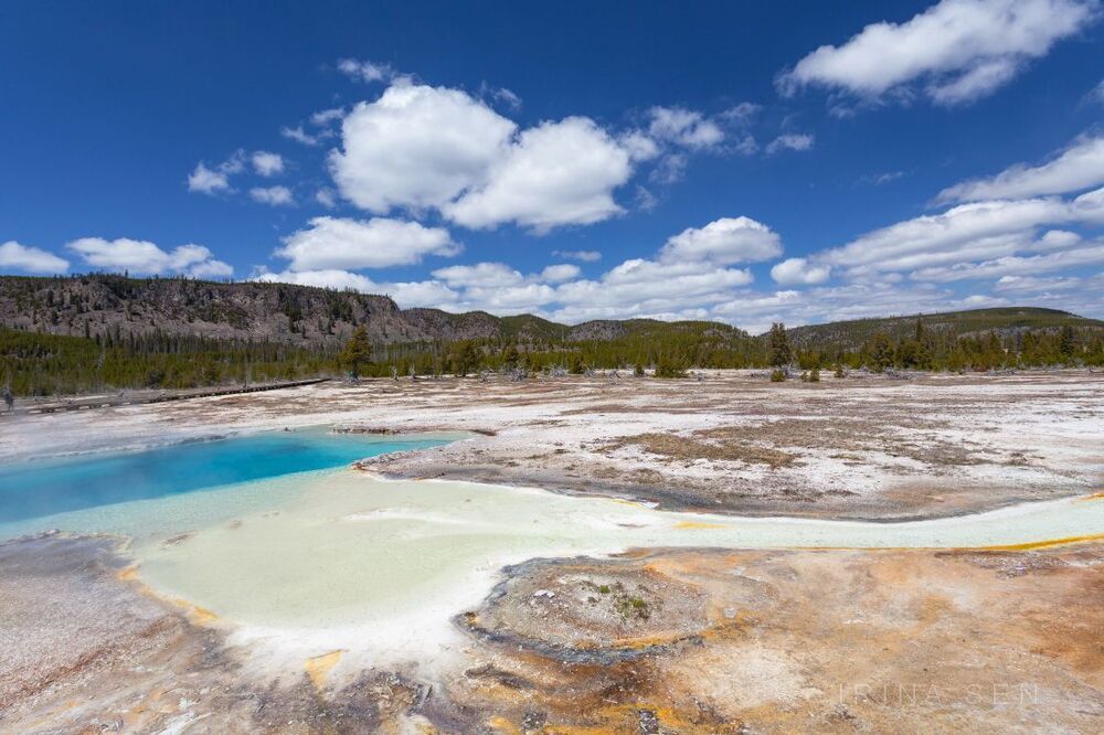 Yellowstone National Park, USA