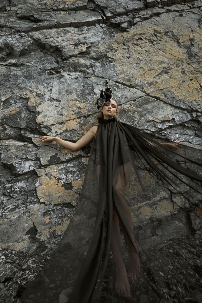 Black Orchid