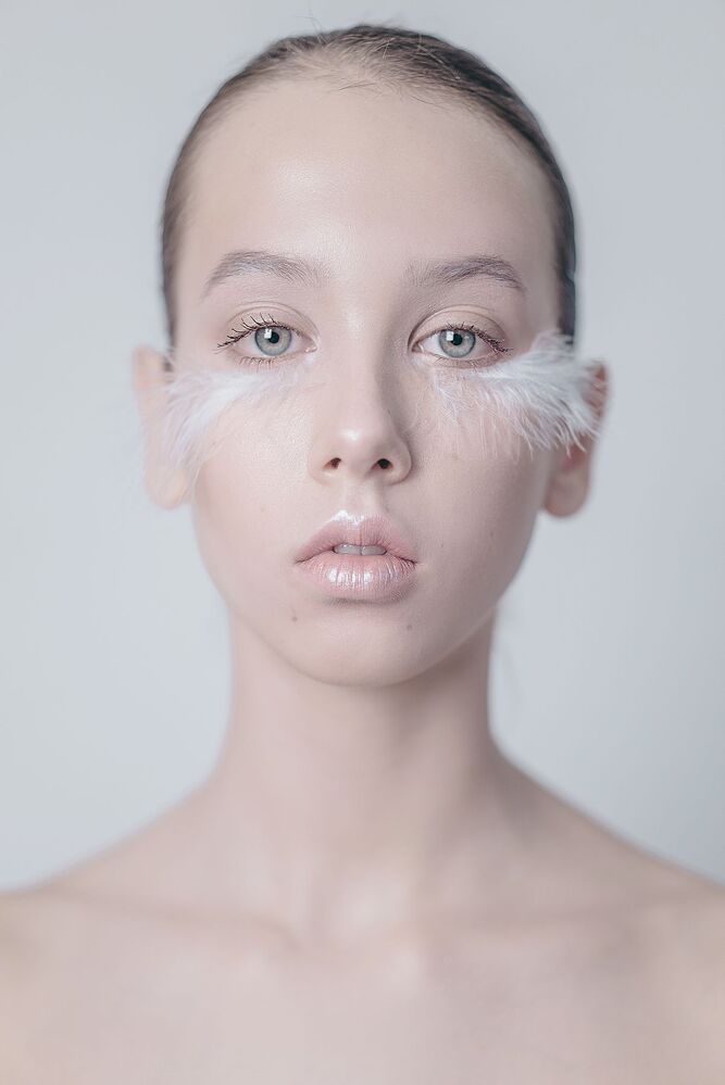 White Bird