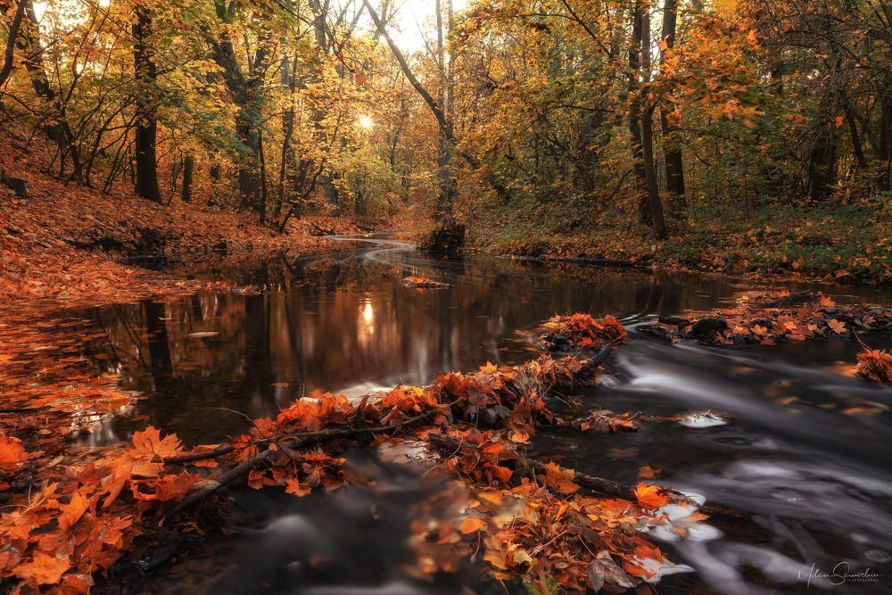 Autumn river