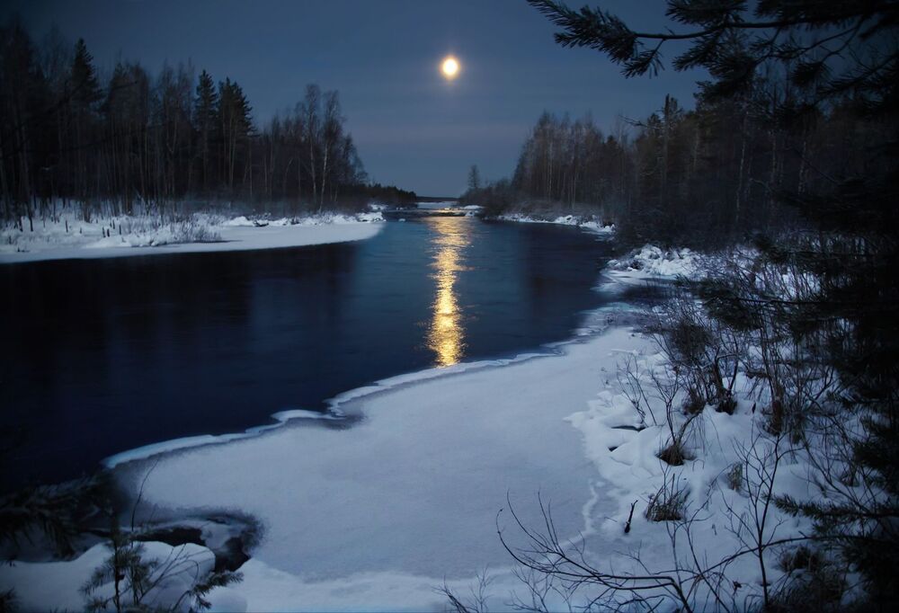 Photo 1575795