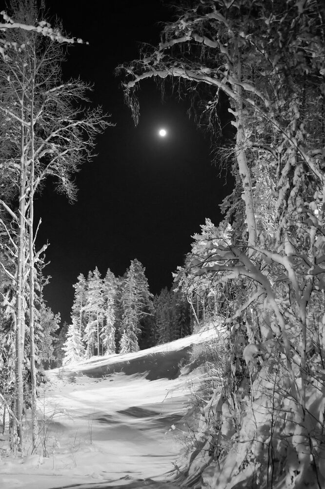 Photo 1575798