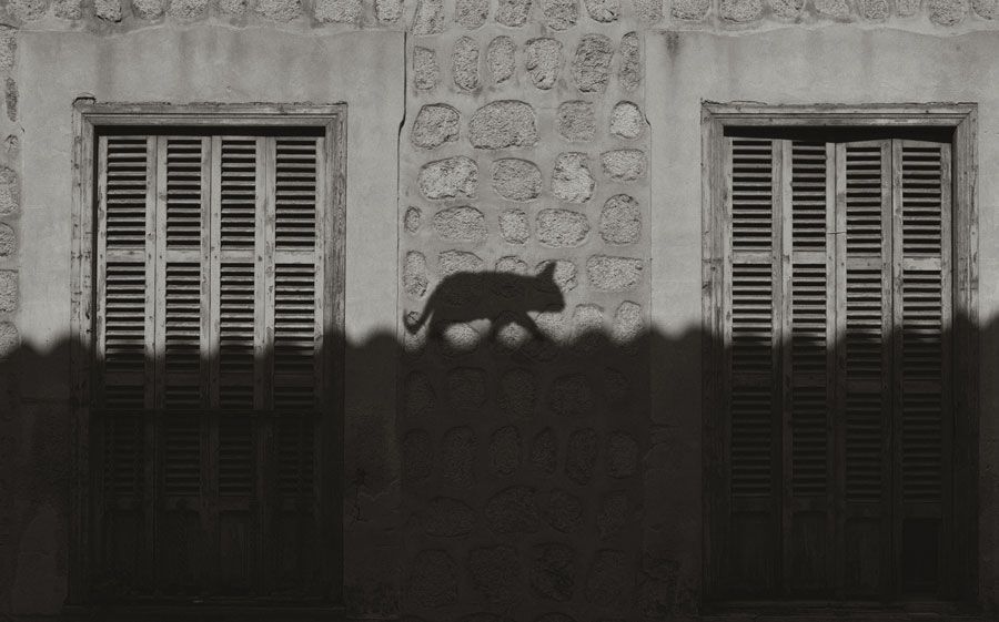 Photo 1575940