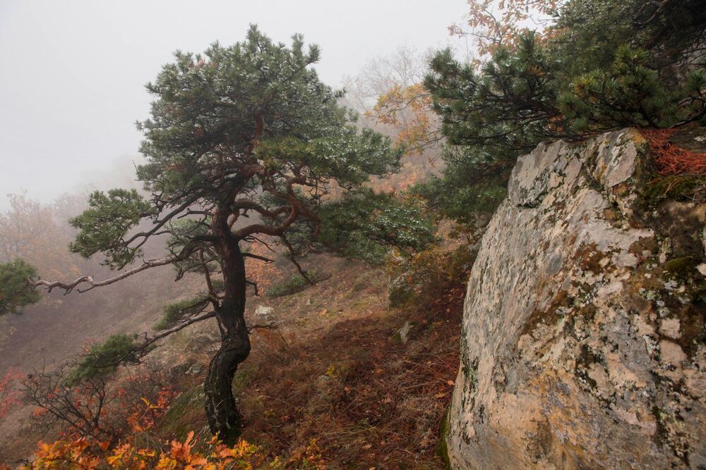 Осень в горах..