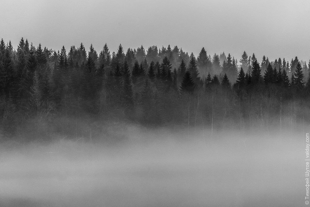 Как жаль, что Вас здесь нет