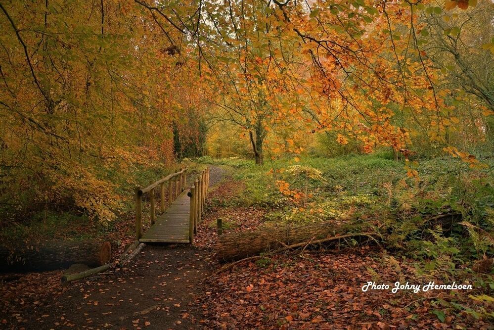 Autumn in Belgium