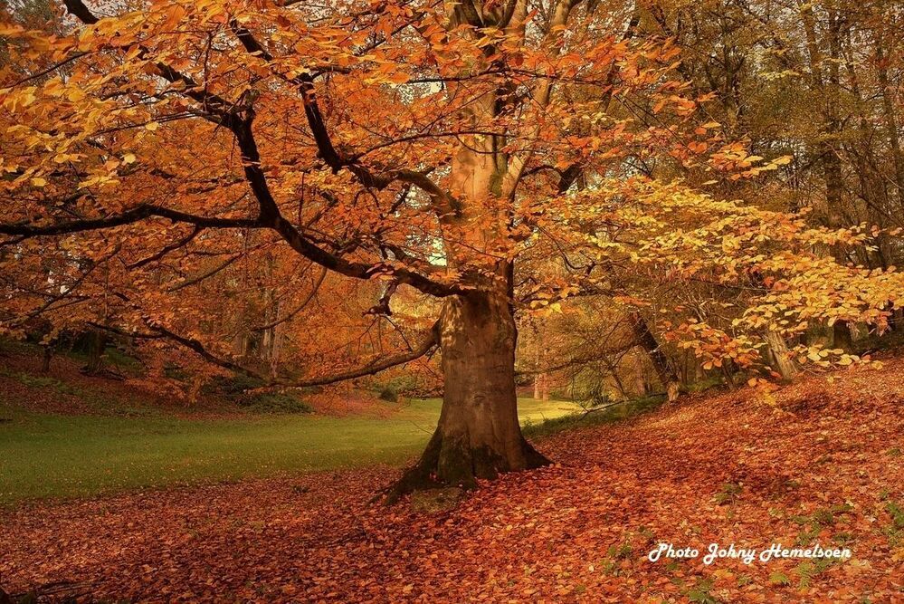 Autumn in Belgium