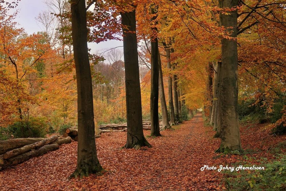 Autumn in Belgium