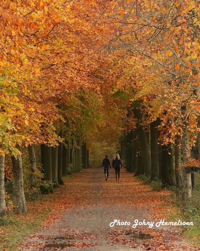 Autumn in Belgium