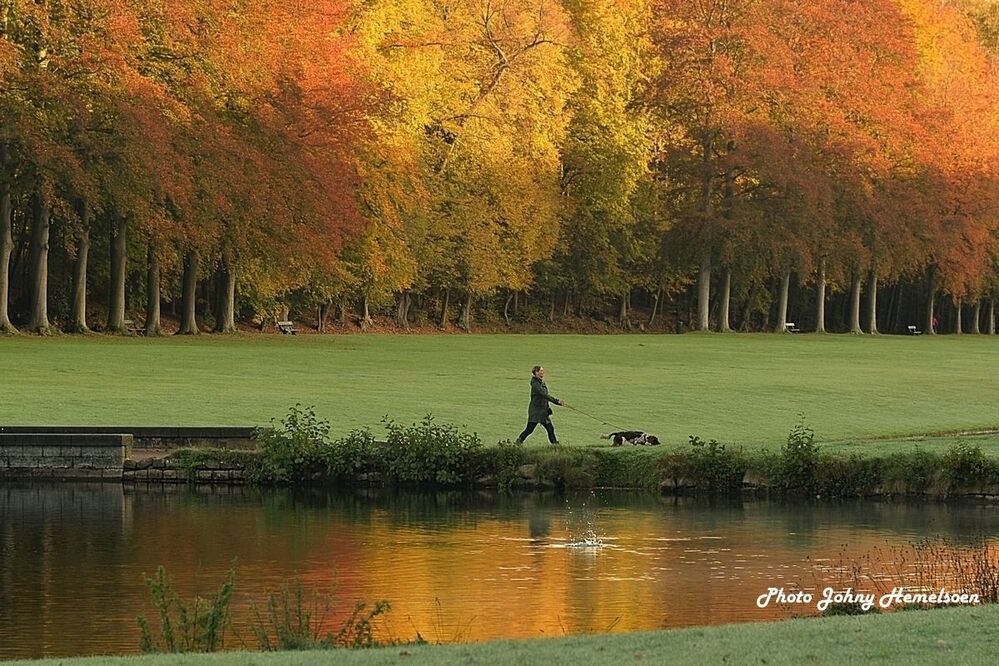 Autumn in Belgium