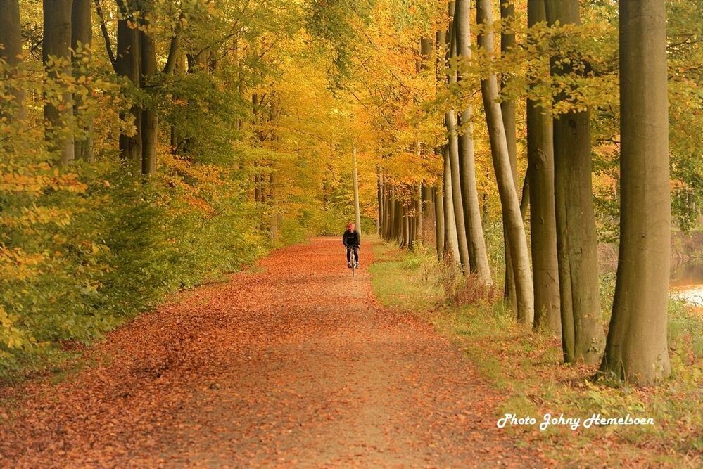 Autumn in Belgium