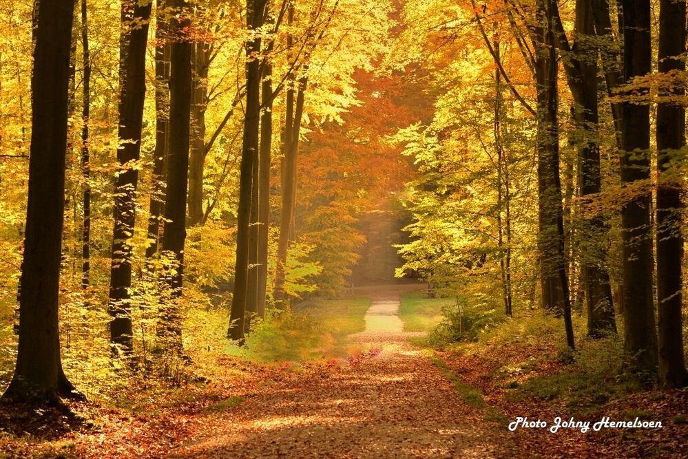Autumn in Belgium